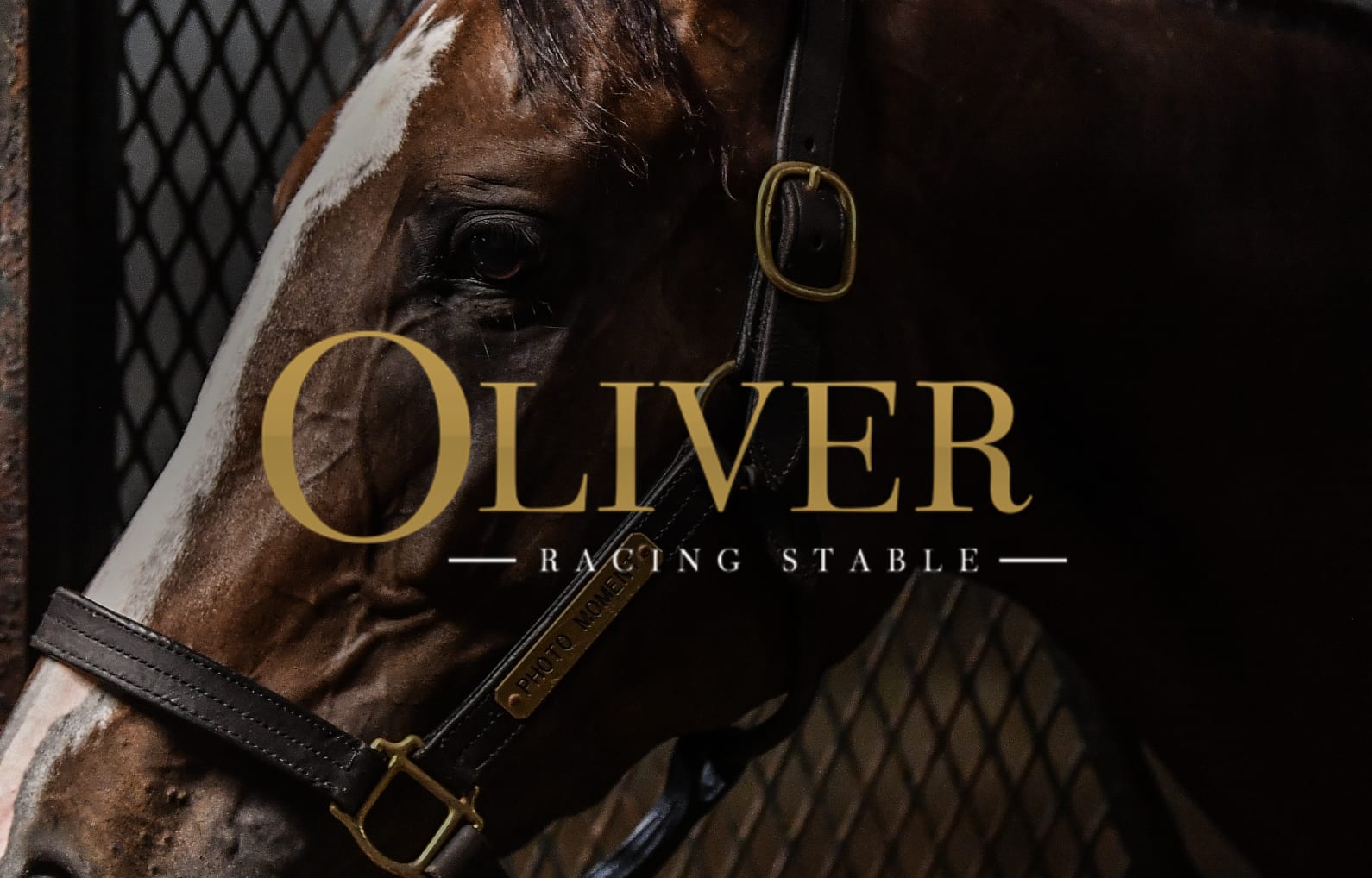  Oliver Racing Stable