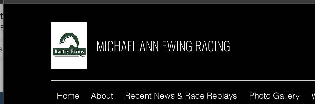 Michael Ann Ewing Racing