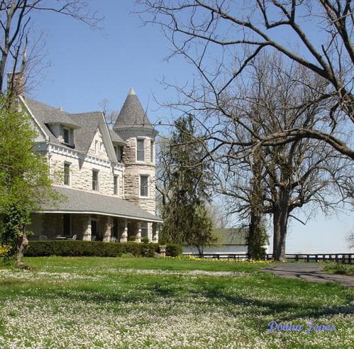 Mineola Farm
