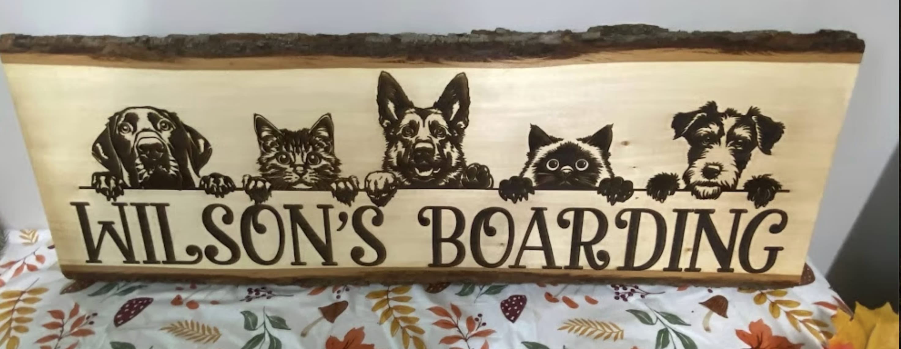  Wilson's Boarding and Daycare
