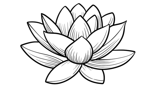 LotusDetailing