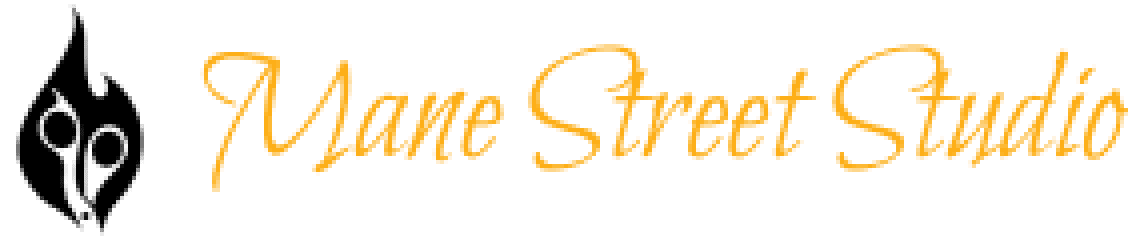 Mane Street Studio