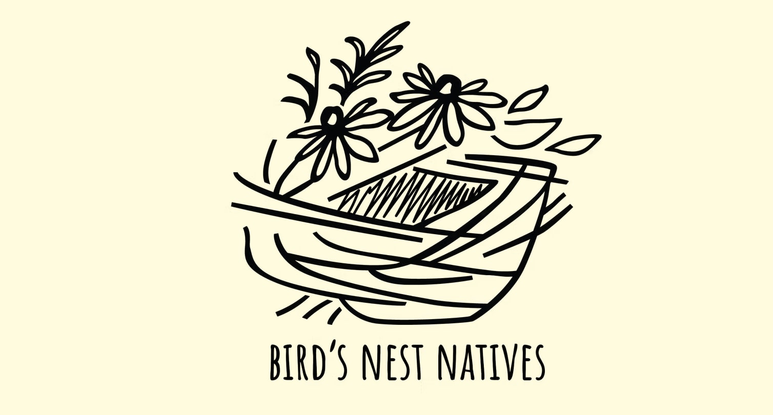  Birds Nest Natives