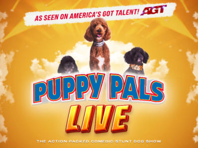 Puppy Pals Live - The Action-Packed Comedic Stunt Dog Show