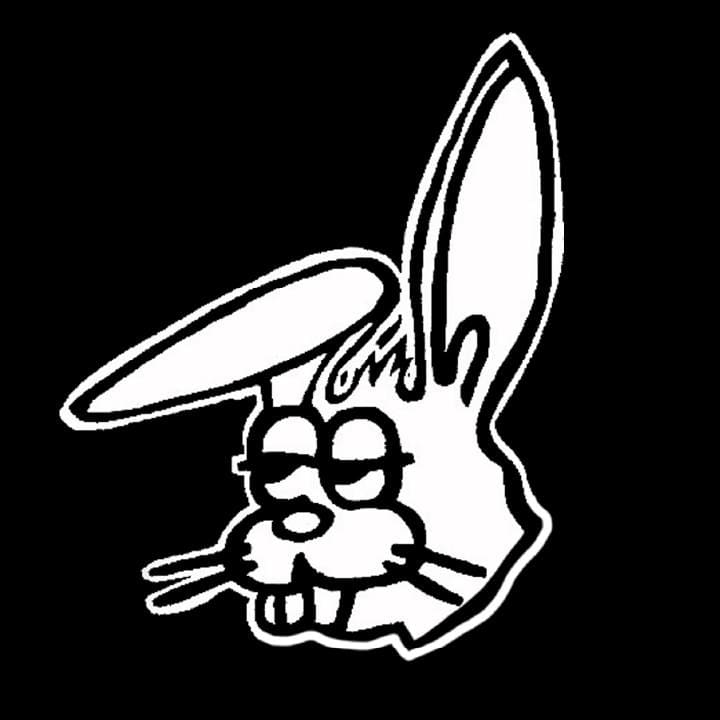 The Wild Hare