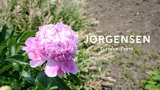Garden Tour