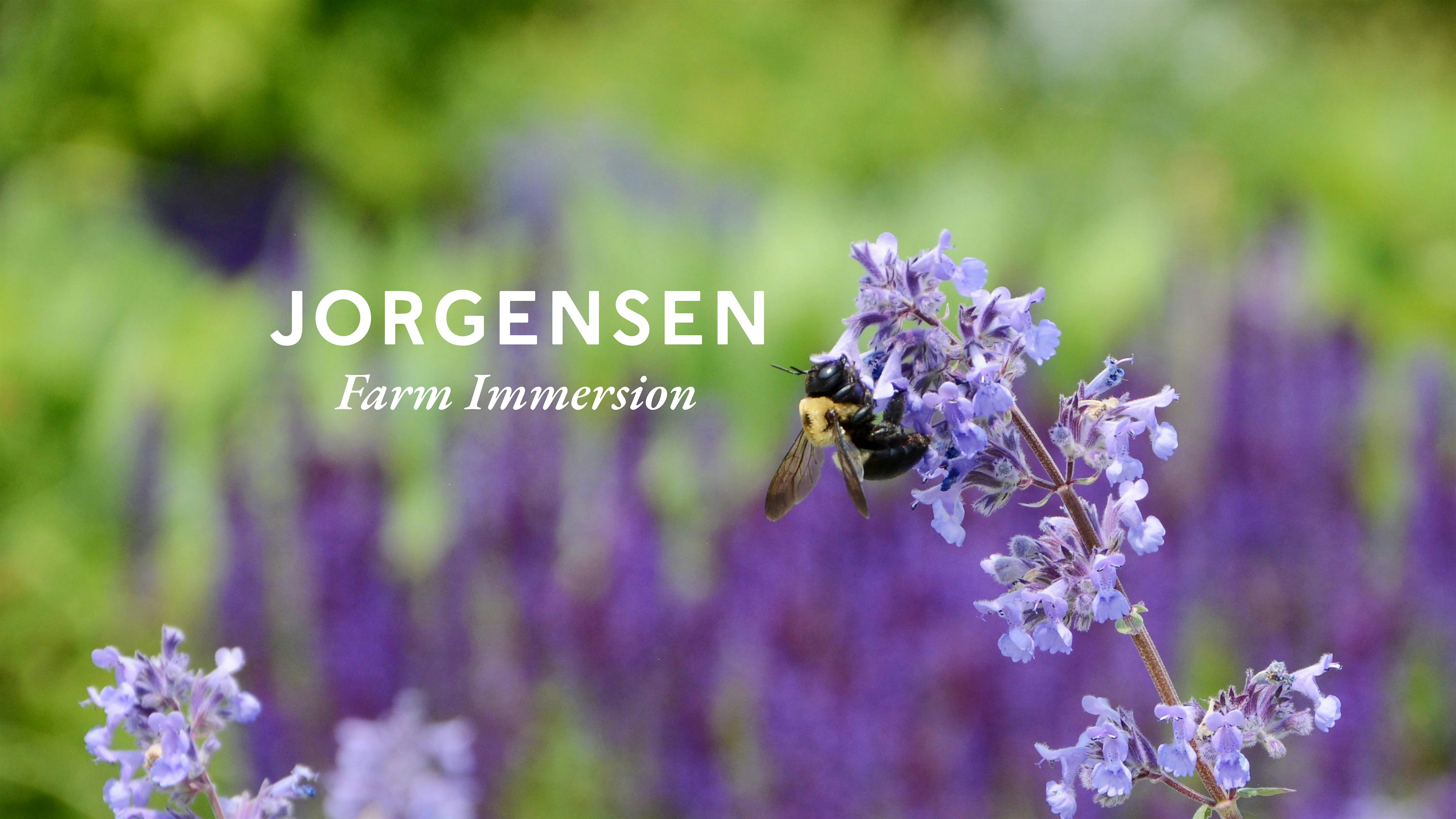 Farm Immersion