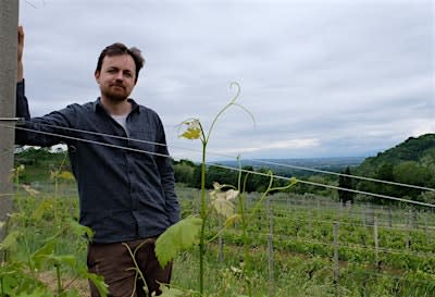 MySOMM + Chef's Table Winemaker Dinner: Comelli (Friuli, Italy)