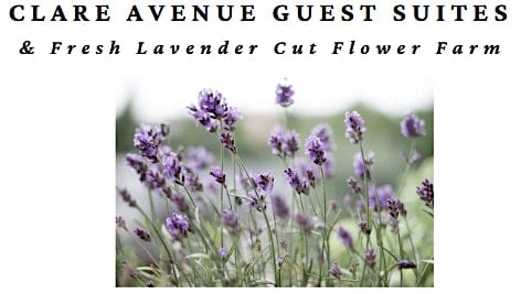 Lavender Season Open House - Sips & Clips