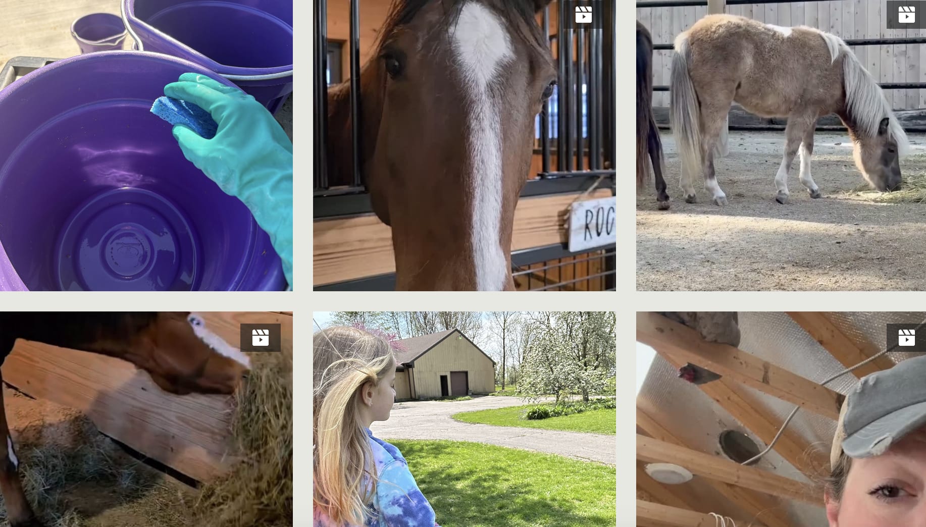 TM Horse Haven