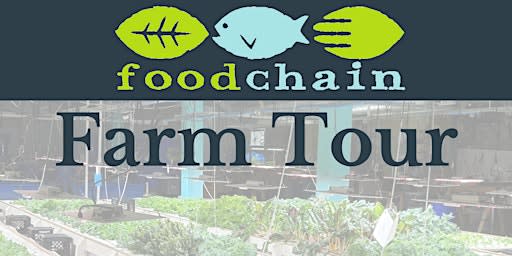 FoodChain Aquaponics Tour 2.0