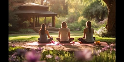 Yoga in the Park