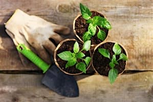 Is it Thyme for Herbs?
