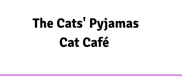 The Cats' Pyjamas Cat Café