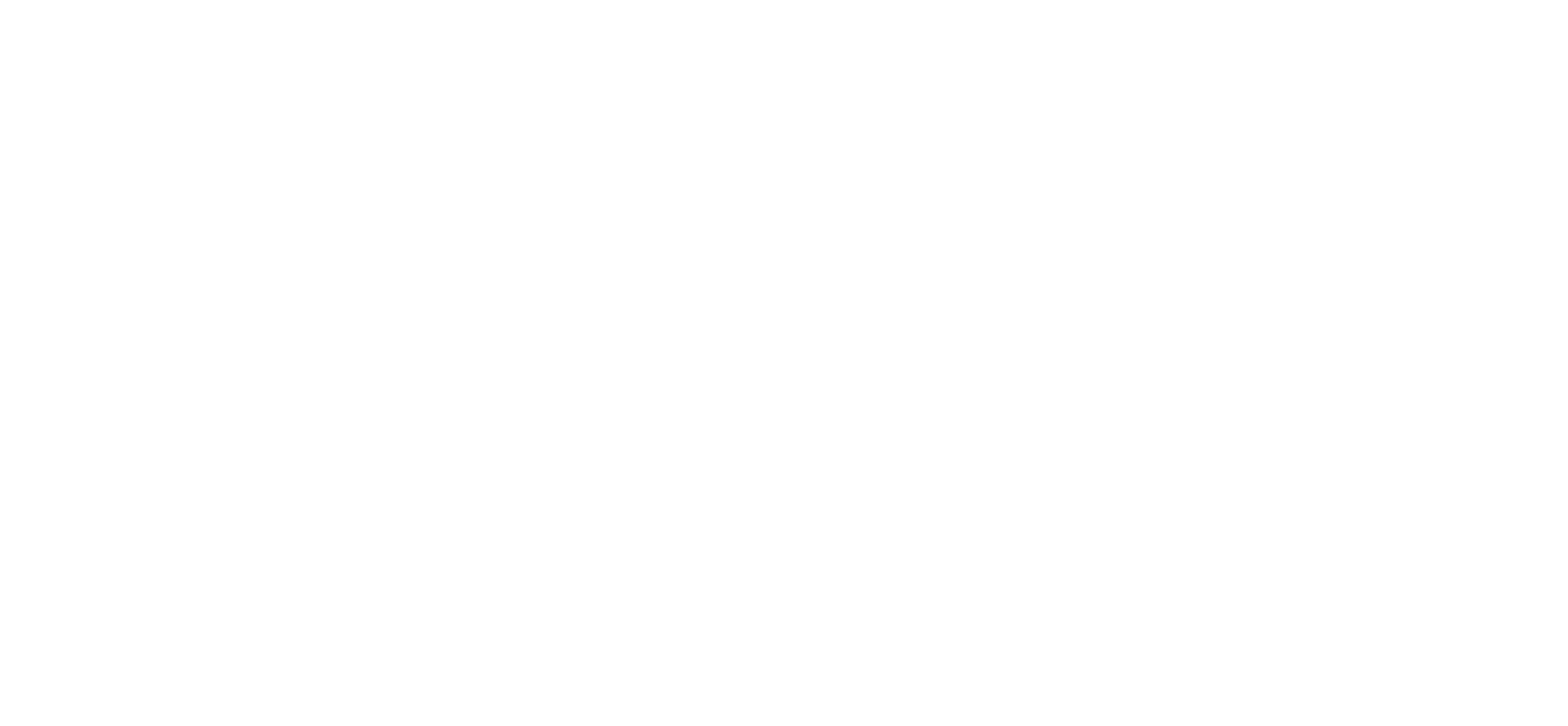 Ray's Diner