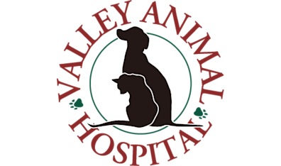 Valley Animal Hospital