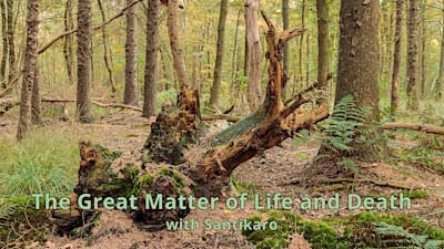 The Great Matter of Life and Death: In-Person Retreat with Santikaro