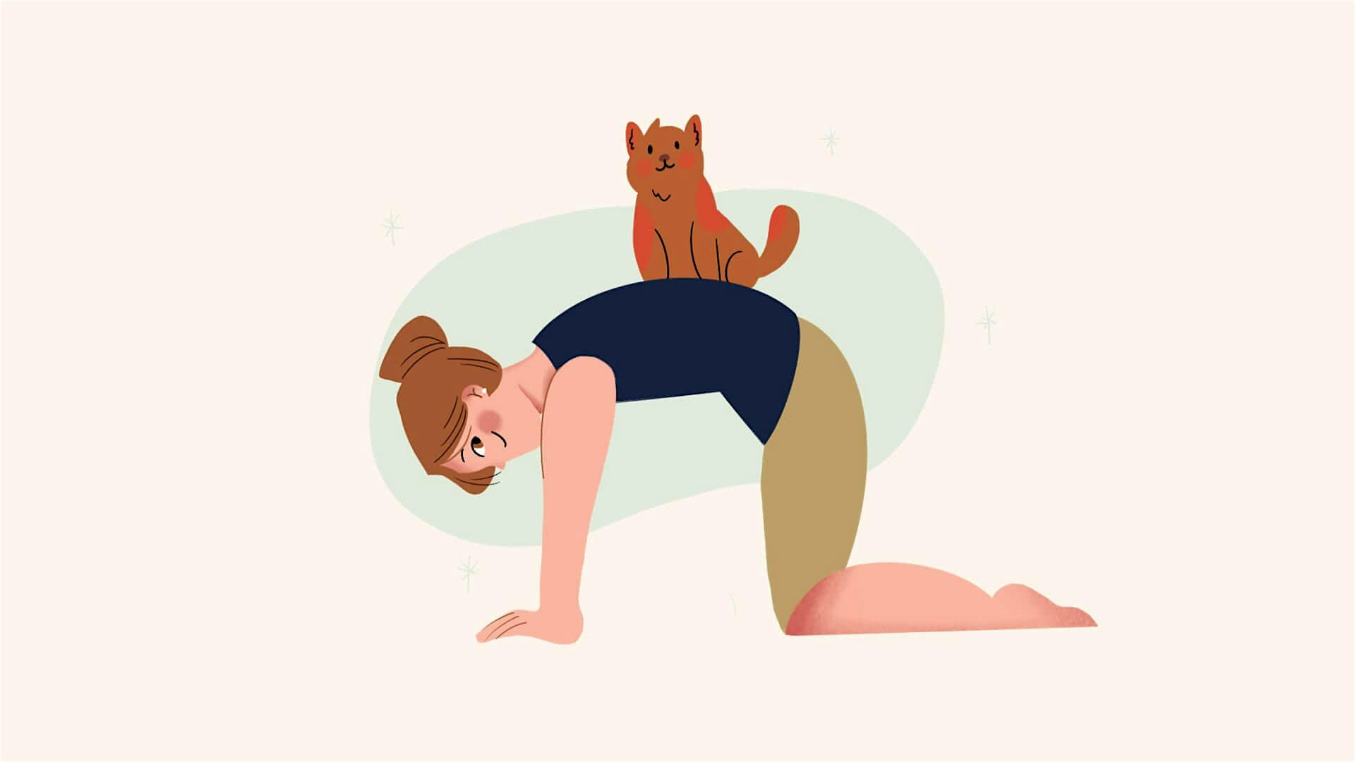 Cat Yoga