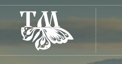 TM Accountant Inc