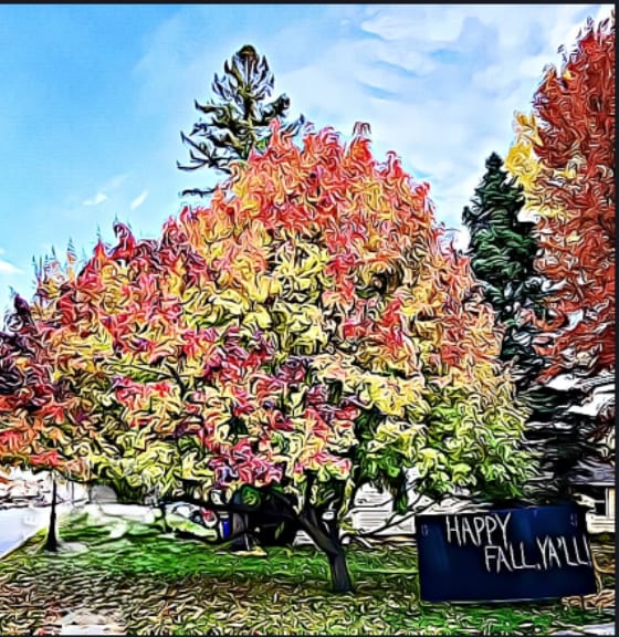 Wishing Tree