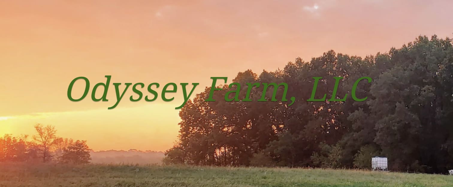 Odyssey Farm, LLC 