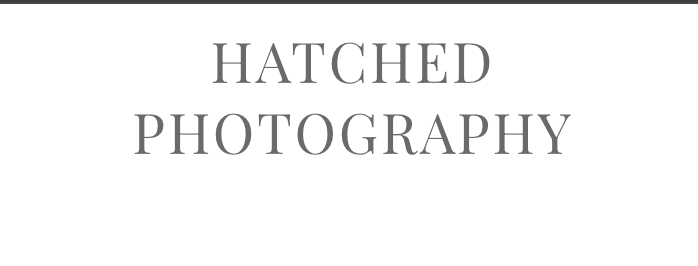Hatched Newborn Photography
