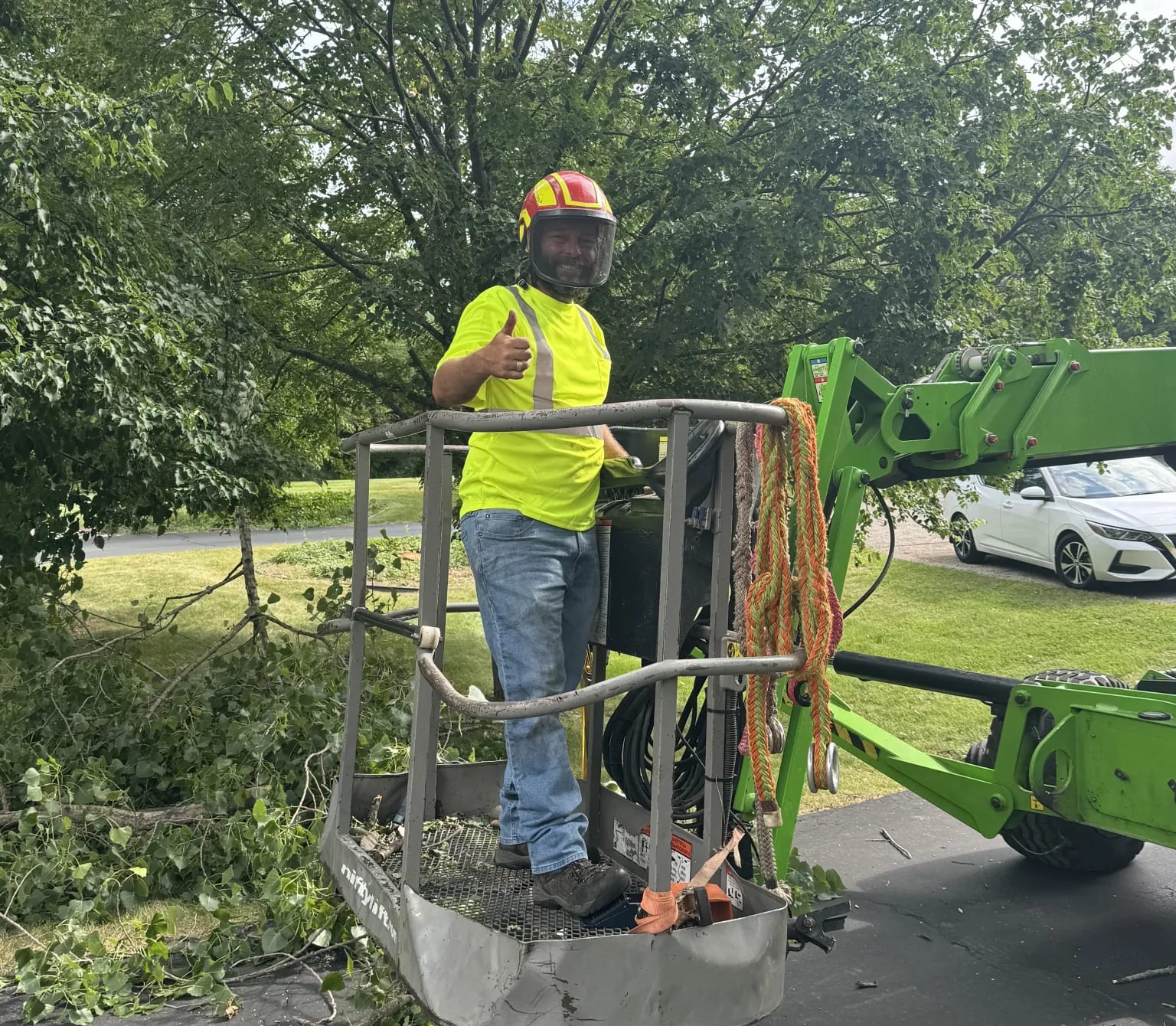 Just the Tree Guy