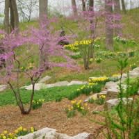 Landscape Artisans