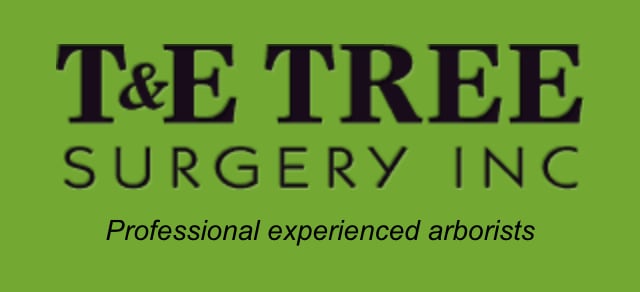 T & E Tree Surgery Inc.