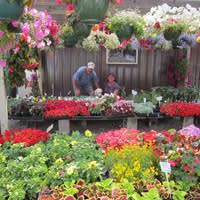 Oakwood Gardens Greenhouse