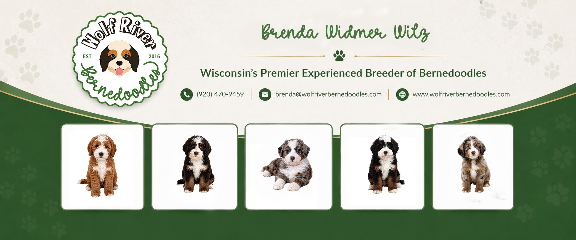 Wolf River Bernedoodles LLC