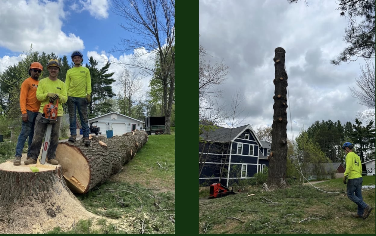 Mev's Tree Service, LLC