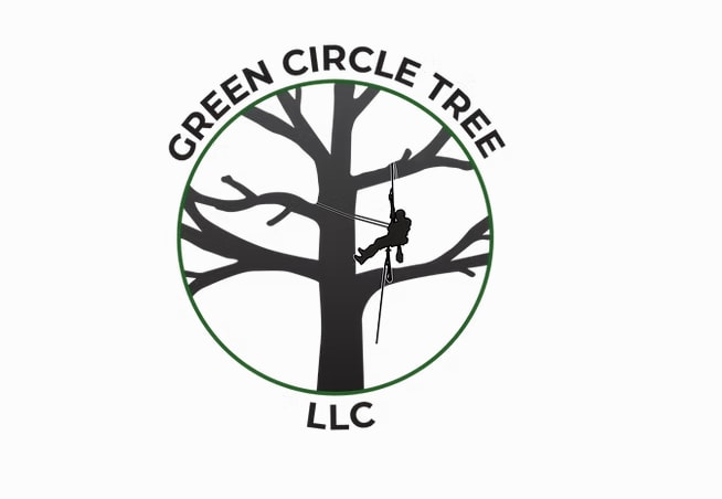 Green Circle Tree