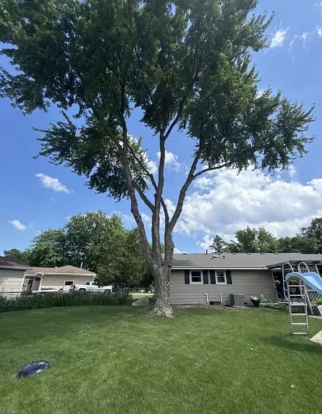 ROA Tree Services LLC
