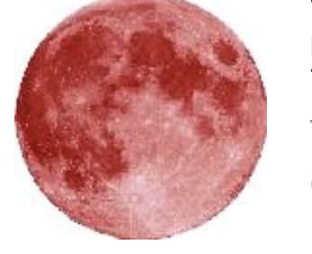 Red Moon Computers, L.L.C.