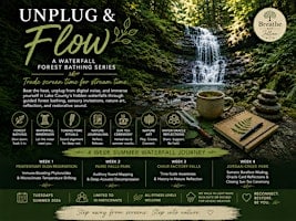 Unplug & Flow: A 4-Part Waterfall Forest Bathing Series