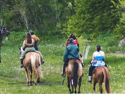Dungeons and Dragons:  D&D One-Shot On Horseback July 16th 2026