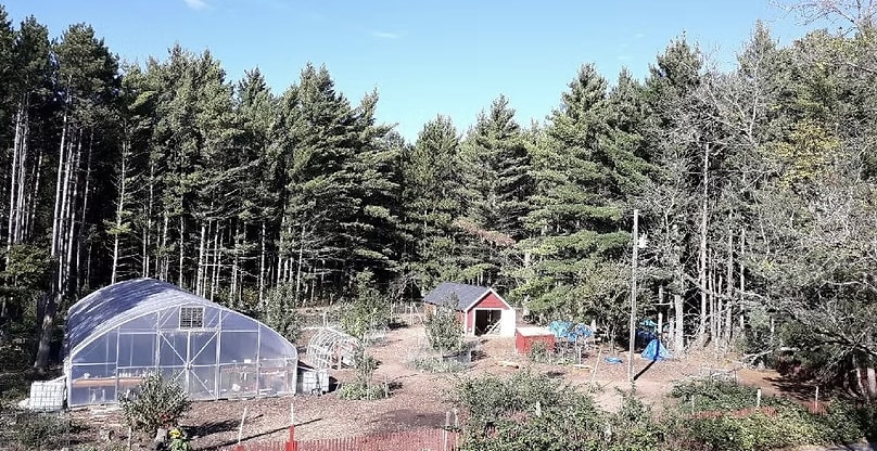  Free Life Farms 