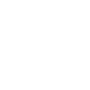 Detroit Charter Company