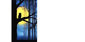 Sip&Paint "Night Owl"
