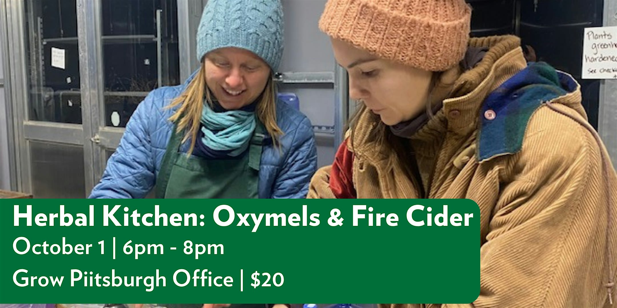 Herbal Kitchen Creations: Oxymels & Fire Cider