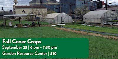 Fall Cover Crops