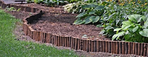 Arboretum Hosta Garden Tour