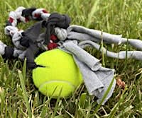 Wagging Tails Workshop - Make Your Own Dog Toy