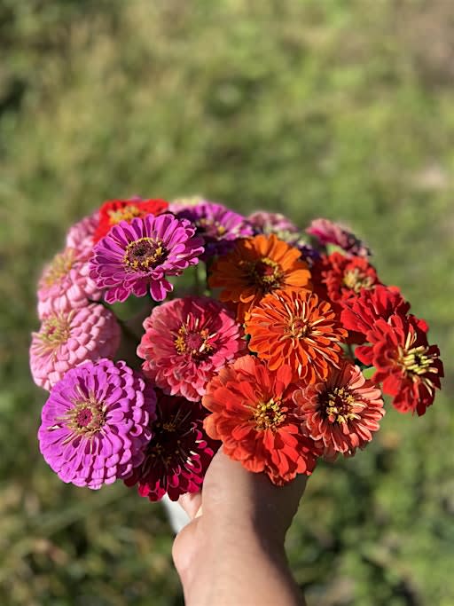Beer & Blooms: Peak Fall Flowers Edition (2026)