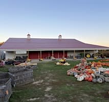 Maple Ash Cakes & Other Ohio Country Foods