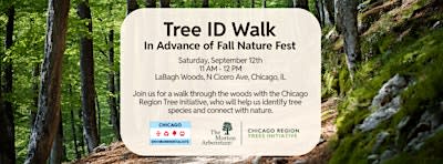 Tree ID Walk with Chicago Enviro and CRTI!