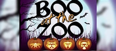 Boo at the Washington Park Zoo
