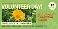 Black Butterfly Farm Volunteer Day (Fri)