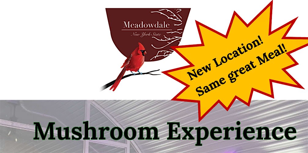 Mushroom Experience Dinner at Meadowdale Winery with Chef David Stein